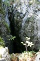 DSC07384