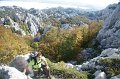 DSC07392