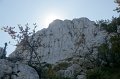 DSC07425