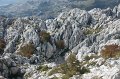 DSC07470