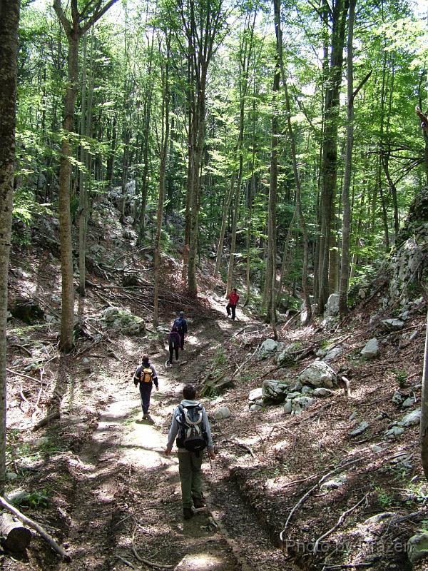 DSCF5704.JPG