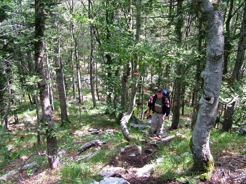 DSCF5706.JPG
