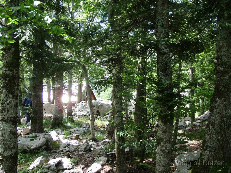 DSCF5707.JPG