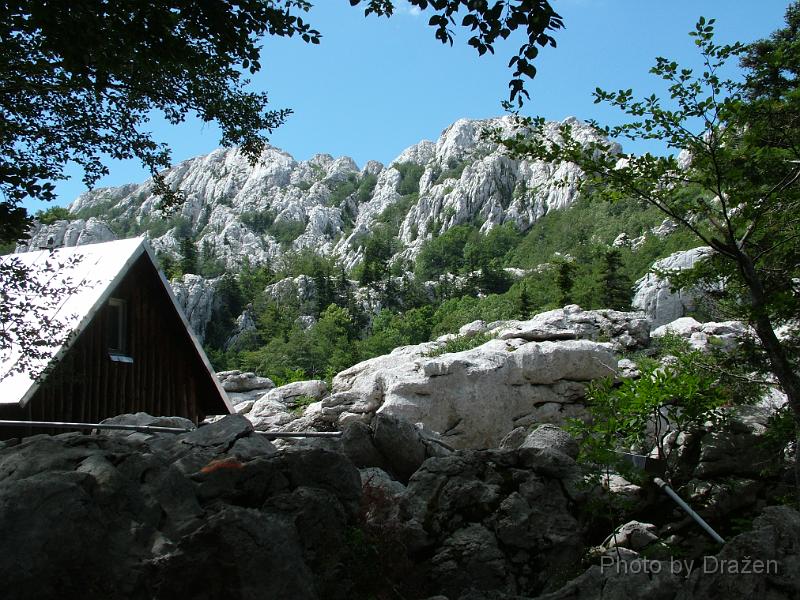 DSCF5708.JPG