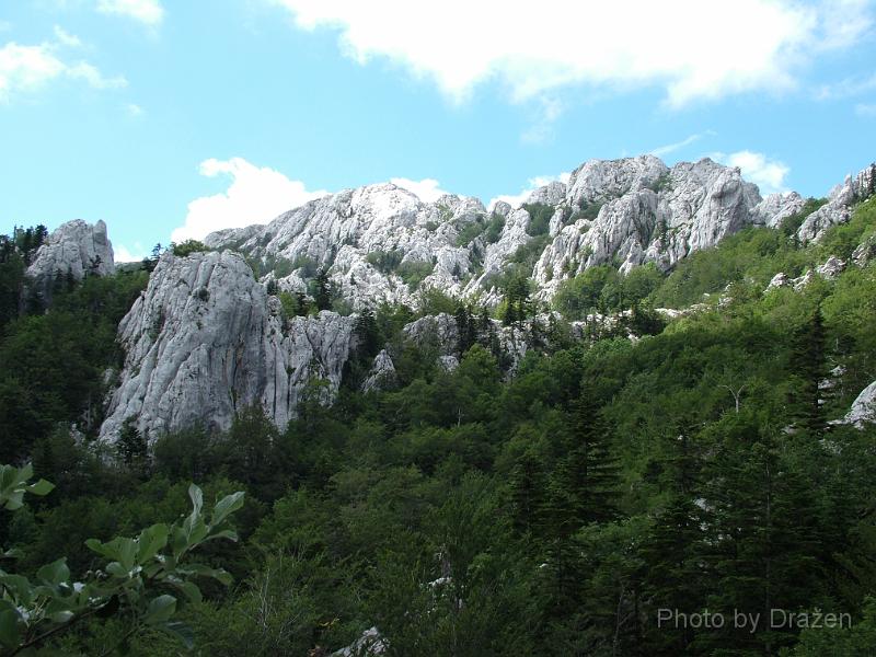 DSCF5714.JPG