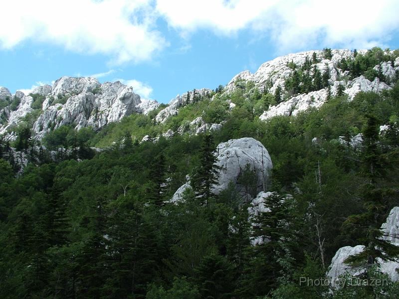 DSCF5715.JPG