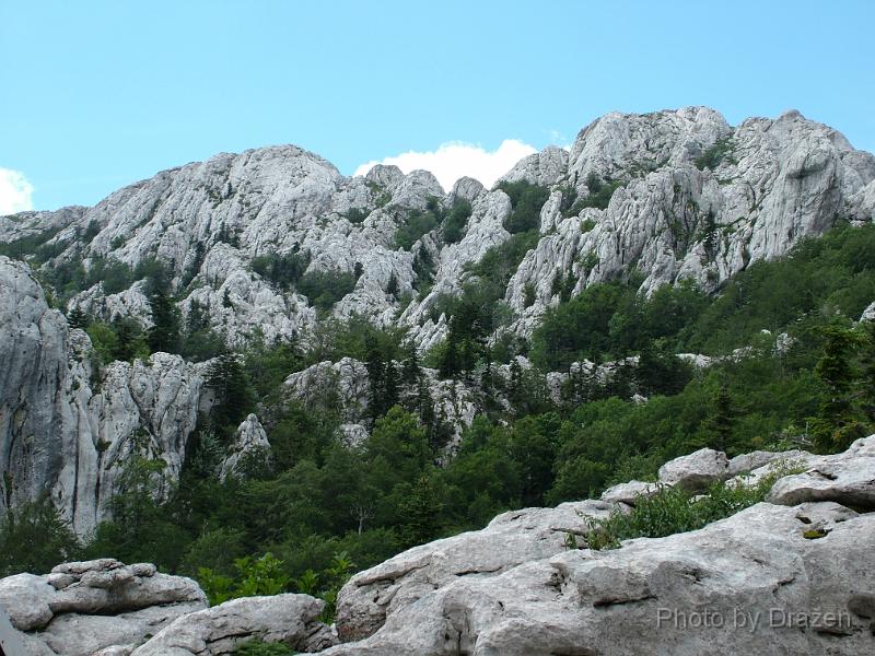DSCF5726.JPG