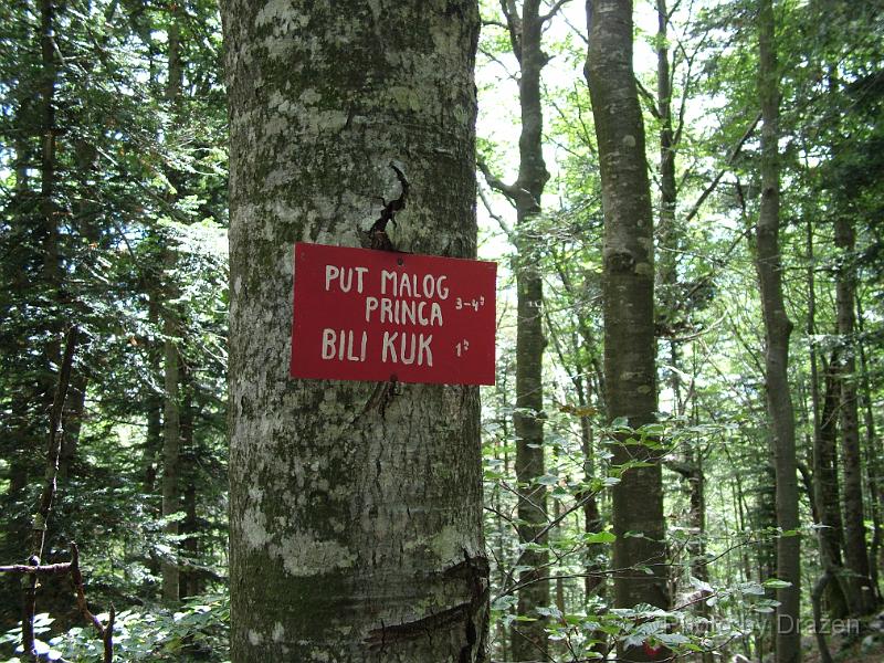 DSCF5732.JPG