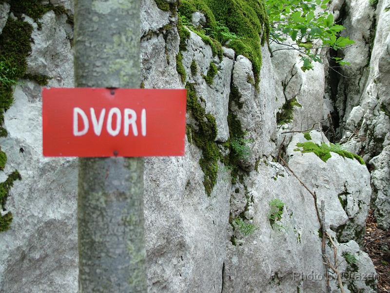 DSCF5743.JPG