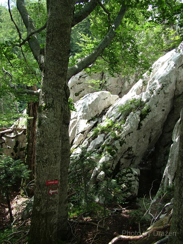 DSCF5746.JPG