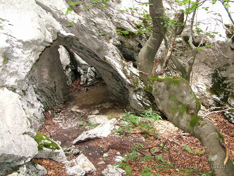 DSCF5754.JPG