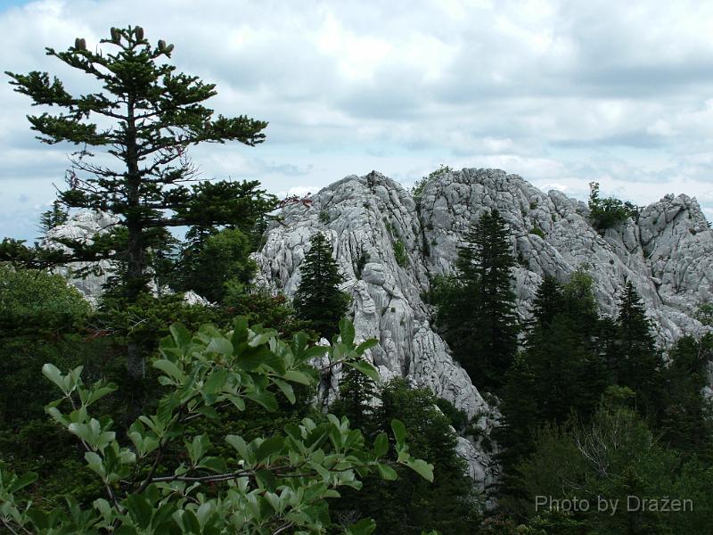 DSCF5767.JPG