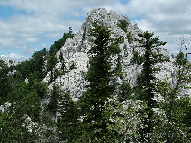 DSCF5769.JPG