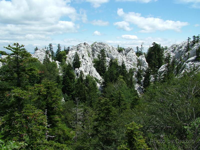 DSCF5791.JPG