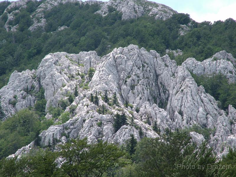 DSCF5793.JPG