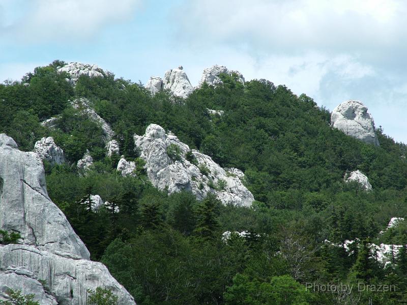 DSCF5794.JPG