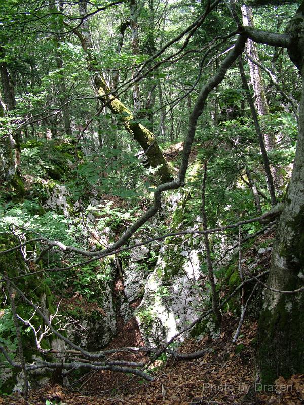 DSCF5795.JPG