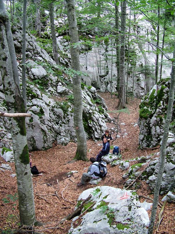 DSCF5796.JPG