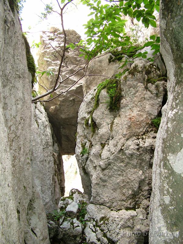DSCF5800.JPG