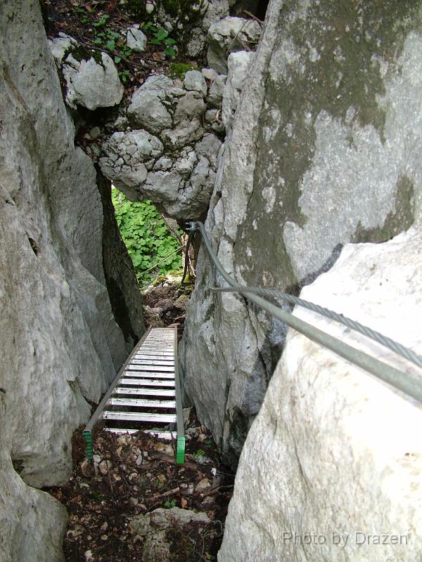 DSCF5801.JPG