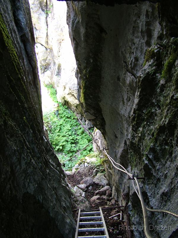 DSCF5802.JPG