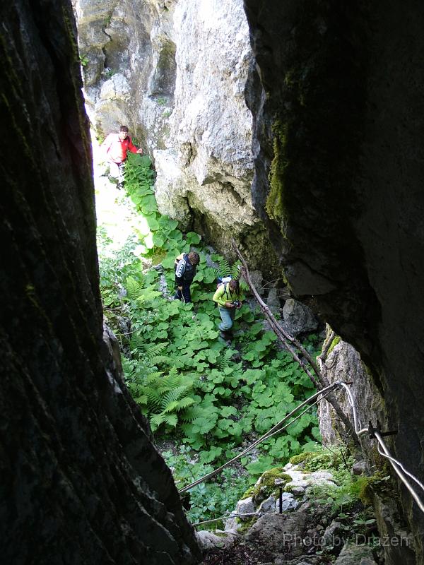 DSCF5803.JPG