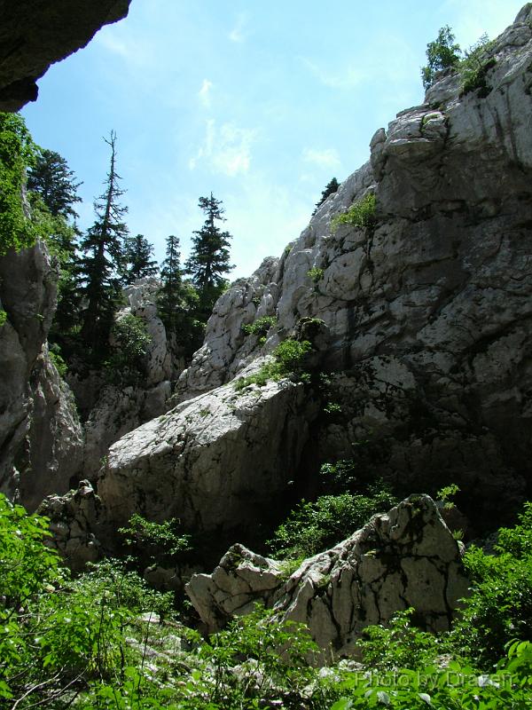 DSCF5816.JPG