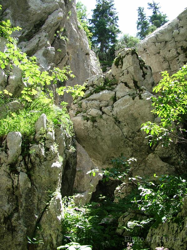 DSCF5817.JPG
