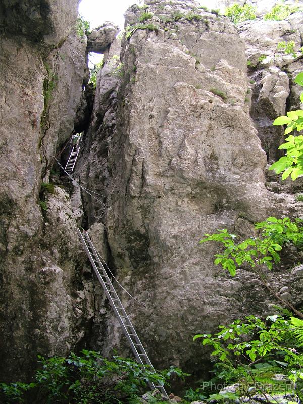 DSCF5819.JPG