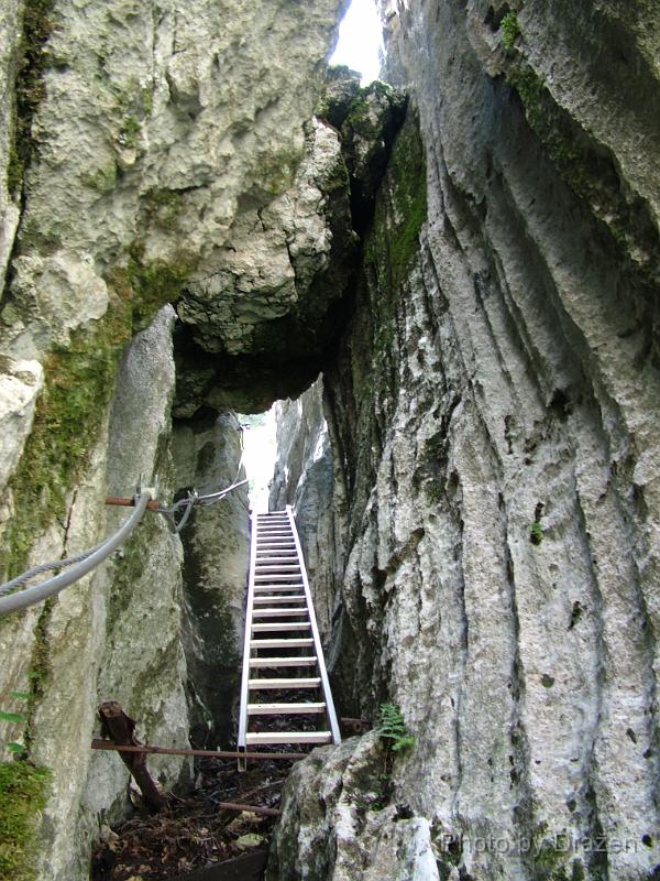 DSCF5820.JPG