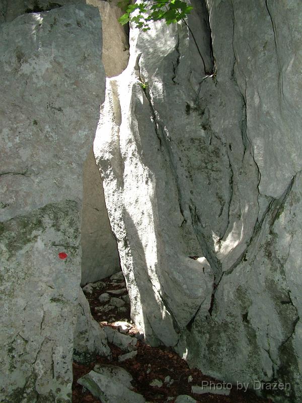 DSCF5826.JPG