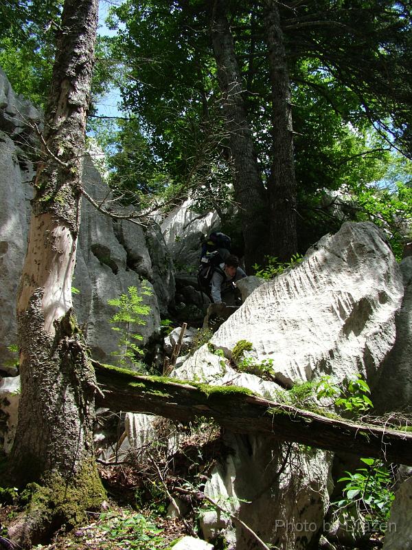 DSCF5832.JPG