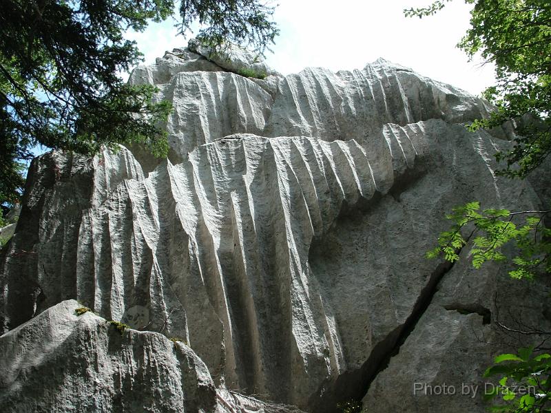 DSCF5834.JPG