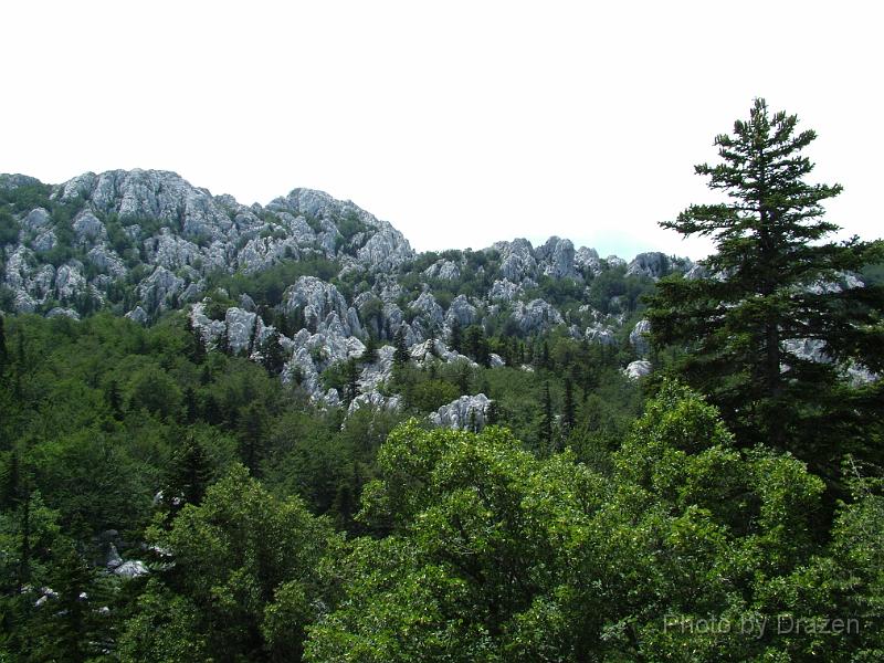 DSCF5837.JPG