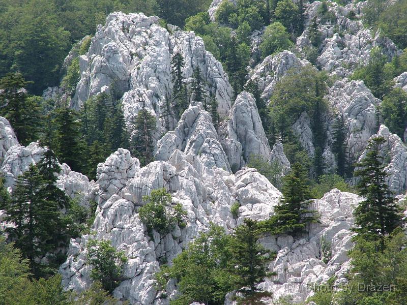 DSCF5838.JPG