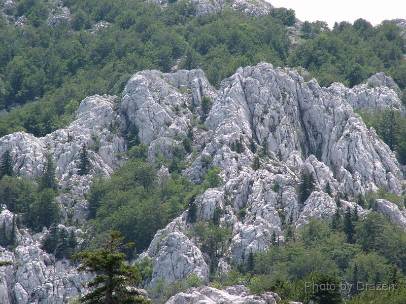 DSCF5840.JPG