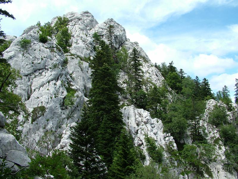 DSCF5847.JPG