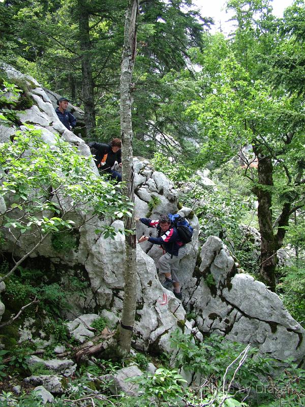 DSCF5855.JPG