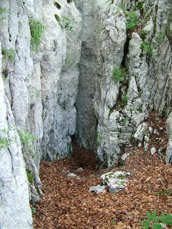 DSCF5859.JPG