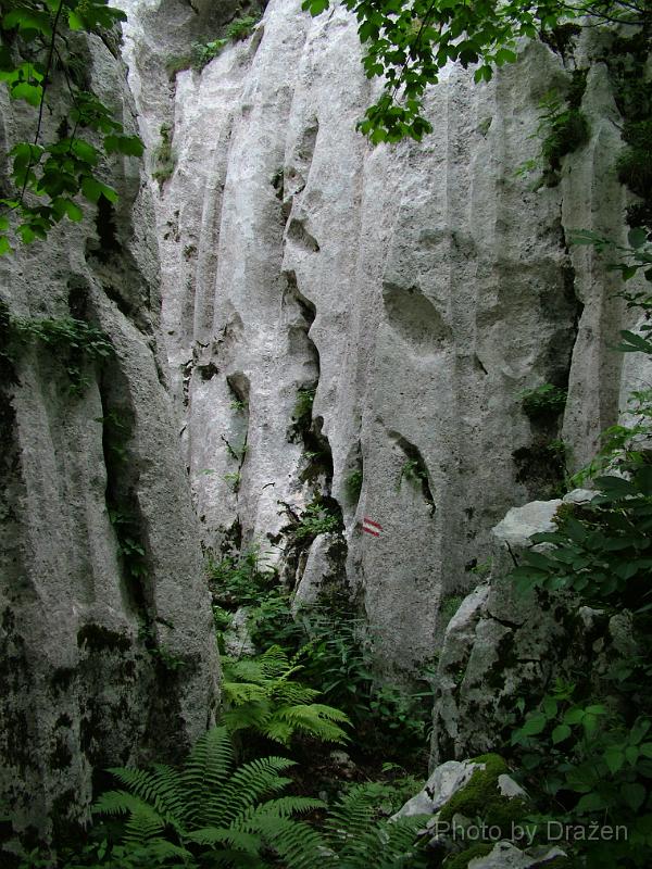 DSCF5872.JPG