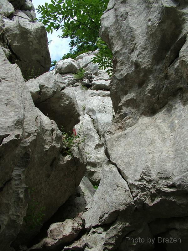 DSCF5873.JPG