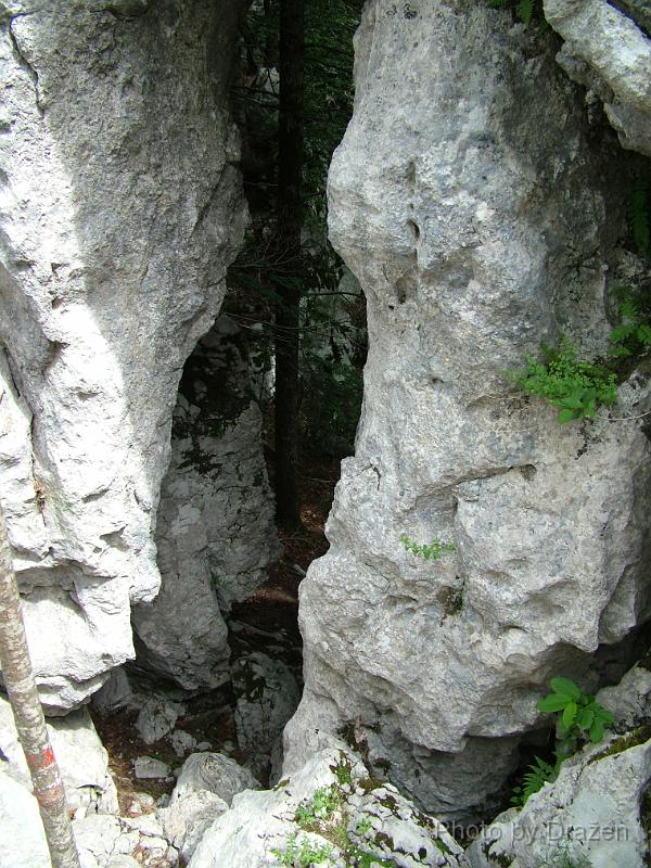 DSCF5874.JPG