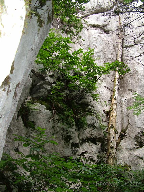 DSCF5877.JPG