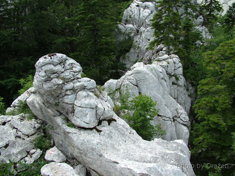 DSCF5883.JPG