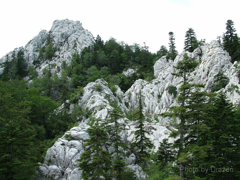 DSCF5884.JPG