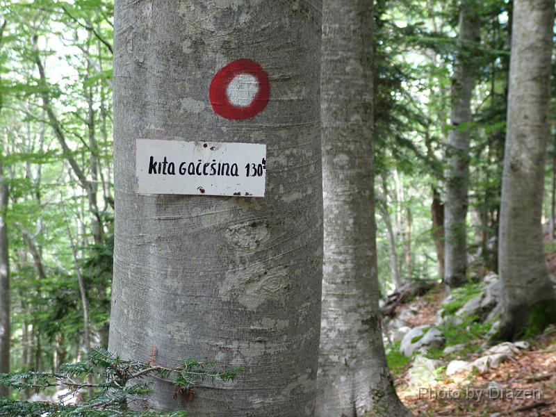 DSCF5888.JPG