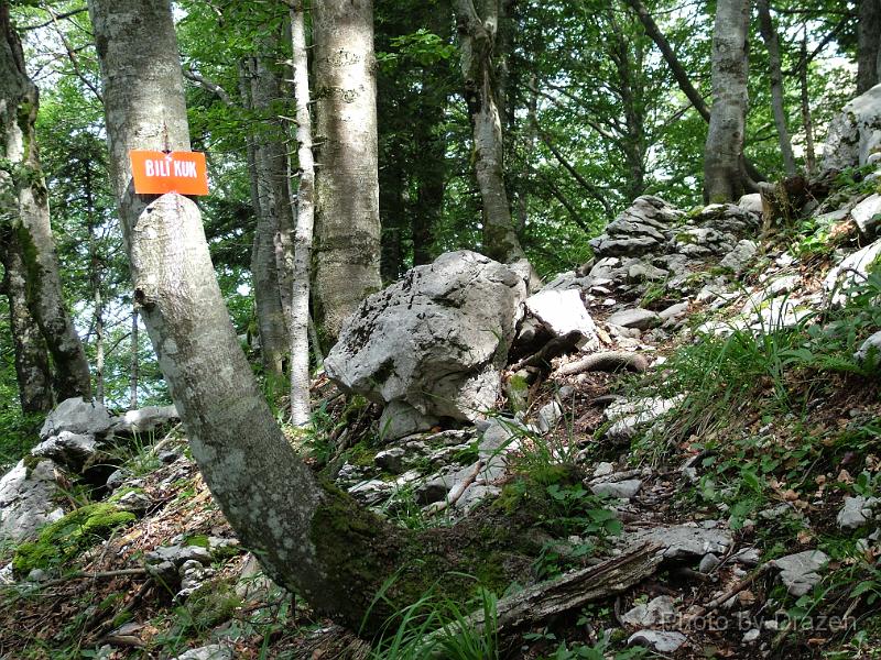 DSCF5889.JPG