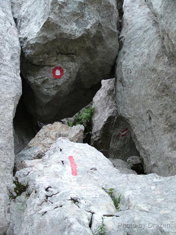 DSCF5895.JPG