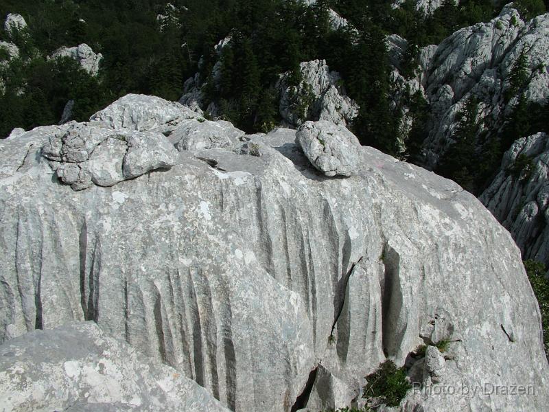 DSCF5899.JPG