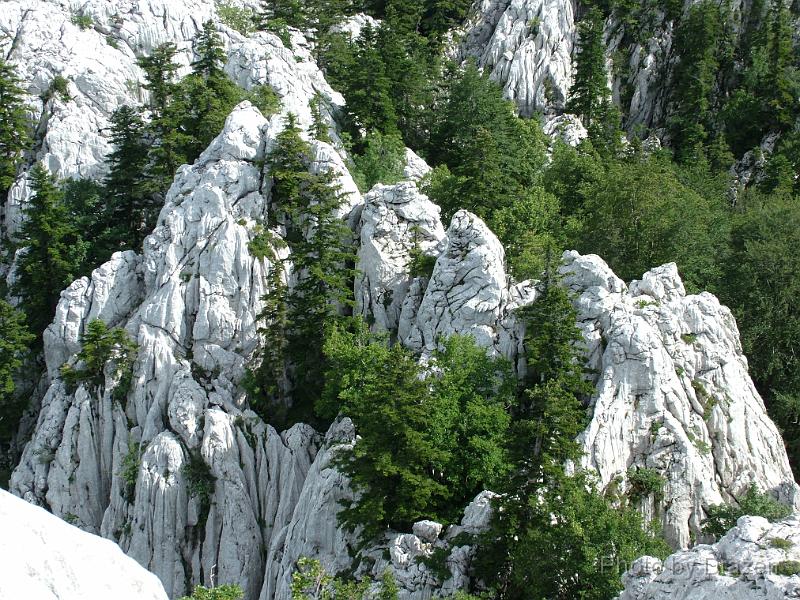DSCF5900.JPG